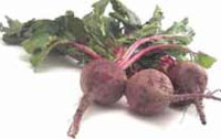 beets