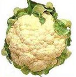 cauliflower-pd