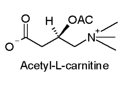 Acetyl L-Carnitine Benefits Weight Loss