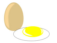 egg