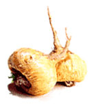 maca