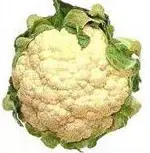 cauliflower-pd