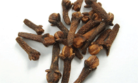 cloves-pd