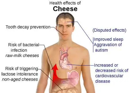health-effects-cheese-pd