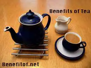 benefis of tea