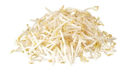 Bean Sprouts