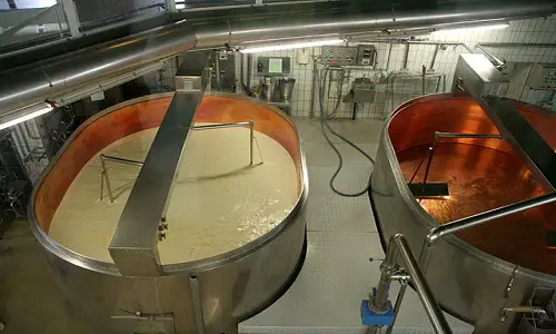 640px-Production_of_cheese_1
